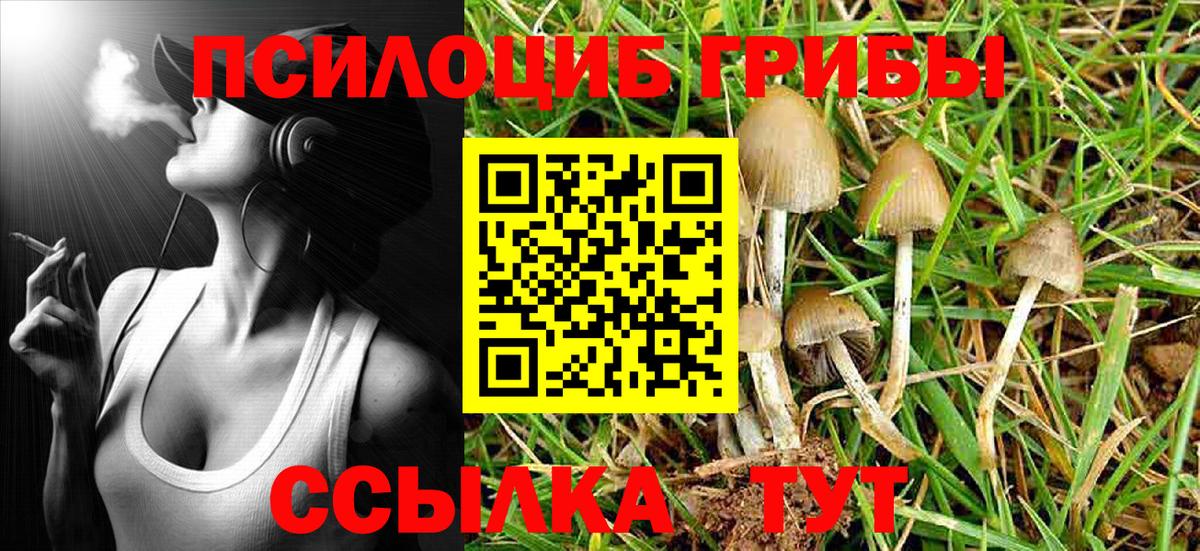 Красноярск  Галлюциногенные грибы Cubensis  Вход с VPN 